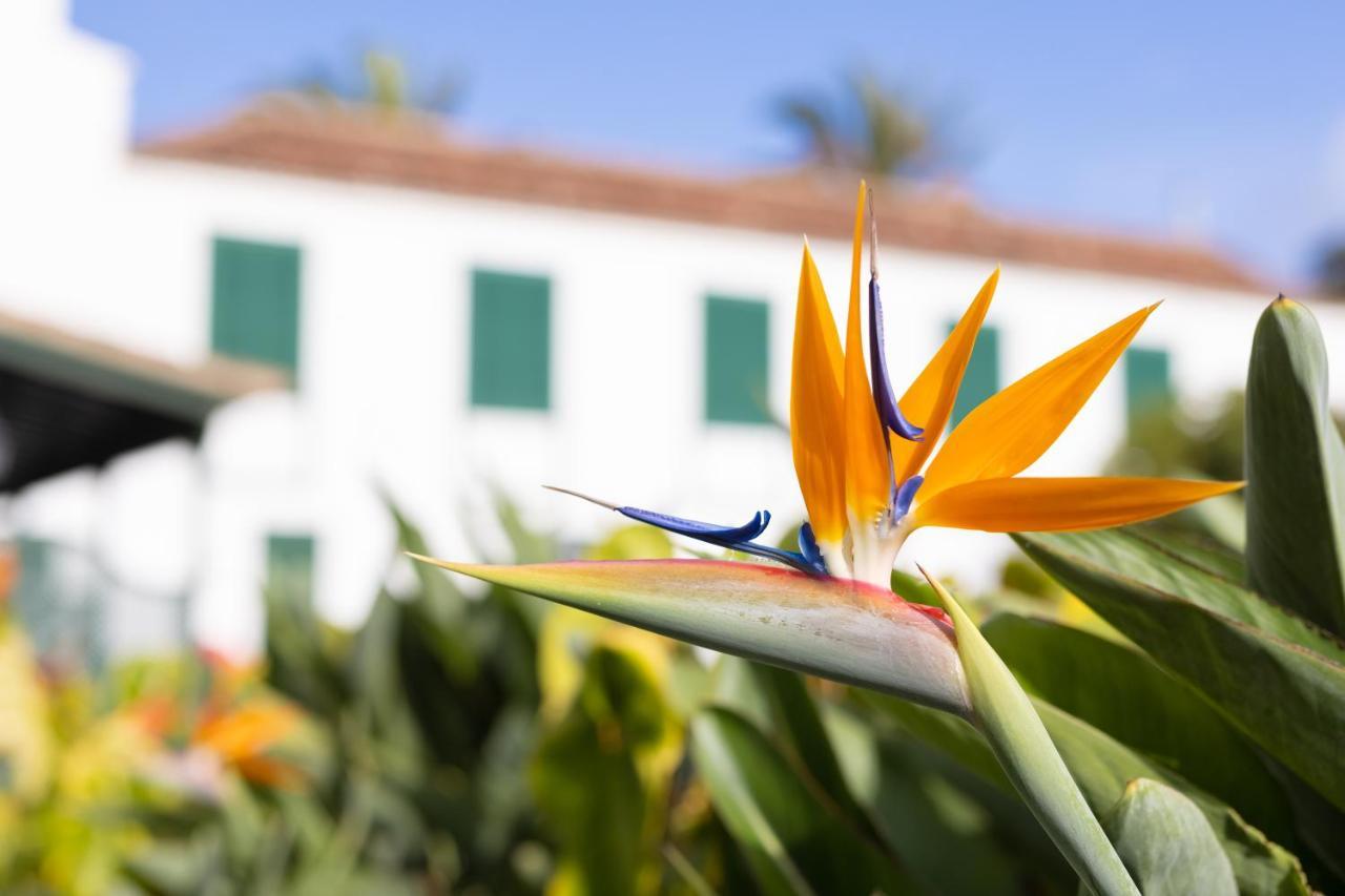 Hotel El Patio Garachico  Dış mekan fotoğraf